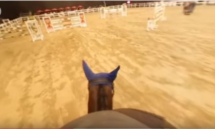 Show Jumping With 360 Camera