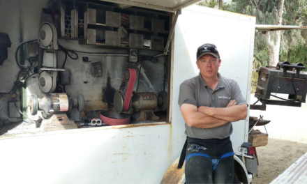 Ask The Experts – Your Farrier Is A Key Member Of Your Team