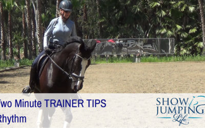 Equestrian Training Scale: Rhythm – Video