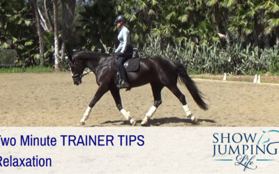 Equestrian Training Scale: Relaxation – Video