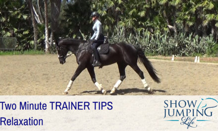 Equestrian Training Scale: Relaxation – Video