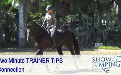 Equestrian Training Scale: Connection – Video