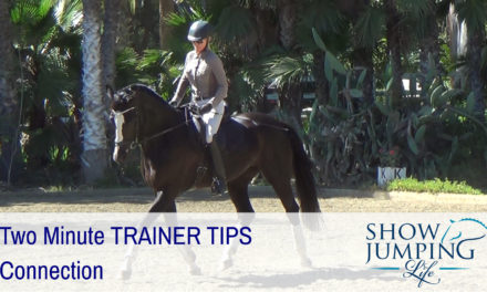 Equestrian Training Scale: Connection – Video