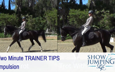 Equestrian Training Scale: Impulsion – Video