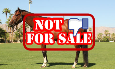 Facebook Prohibits Animal Sales