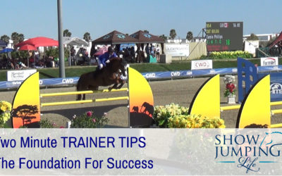 Show Jumping Foundation For Success – Video