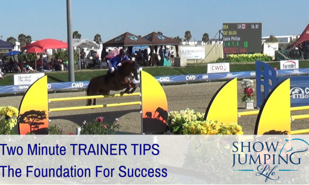Show Jumping Foundation For Success – Video