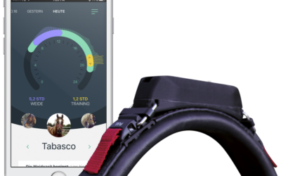 Wearable Technology Improves Health, Training Of Horses