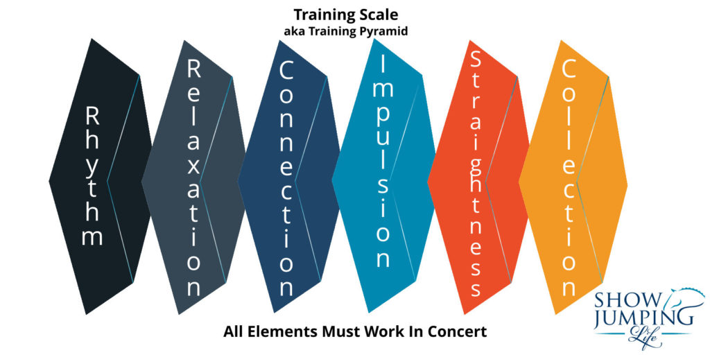 Training Scale Horizontal