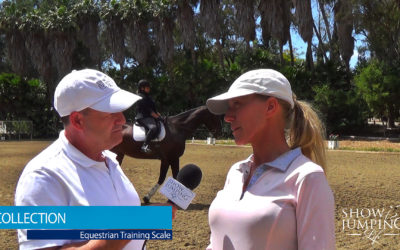 Equestrian Training Scale: Collection – Video