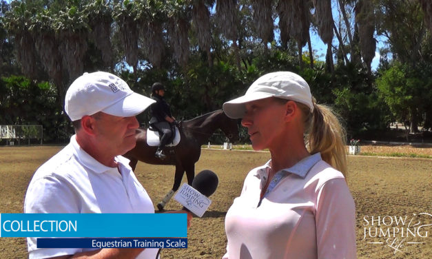 Equestrian Training Scale: Collection – Video