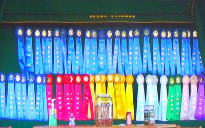 Chasing Points. Show Jumping Competitions & Riders