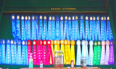 Chasing Points. Show Jumping Competitions & Riders