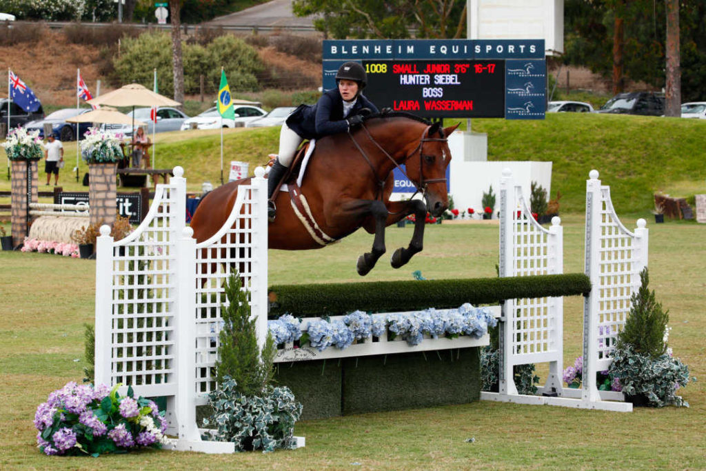 Hunter Siebel USEF Champ