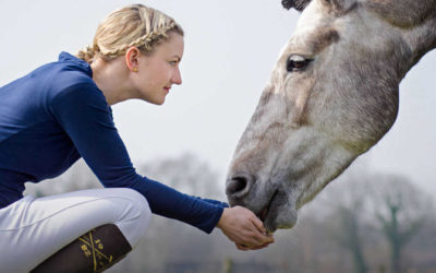 New Horse Welfare & Safety Penalty Guidelines