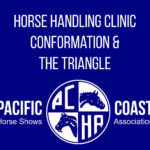 Horse Handling Clinic